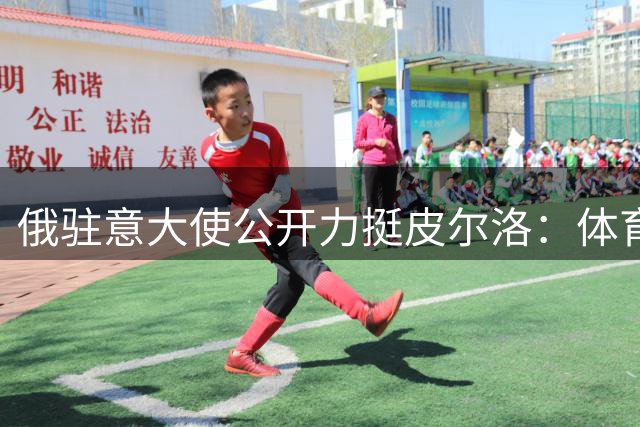 俄驻意大使公开力挺皮尔洛：体育传奇不该沦为政治牺牲品