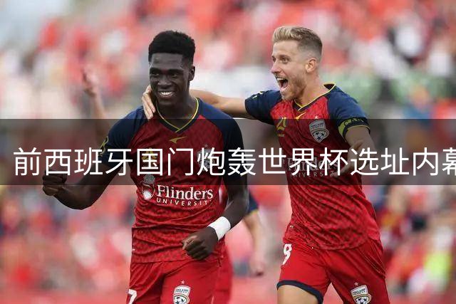 前西班牙国门炮轰世界杯选址内幕：利益争夺损害足球发展